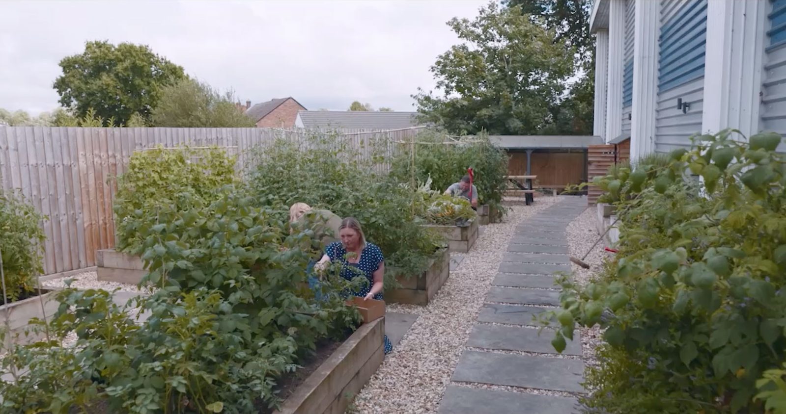 Staff tending the raised vegetable beds in the Sandhurst Autoprint company garden